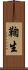 鞠生 Scroll