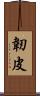 韌皮 Scroll