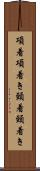 項着 Scroll