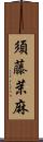 須藤茉麻 Scroll