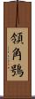 領角鴞 Scroll