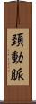 頚動脈 Scroll