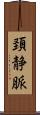 頚静脈 Scroll