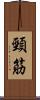頸筋 Scroll