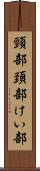 頸部 Scroll
