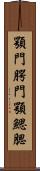 顎門 Scroll