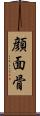 顔面骨 Scroll