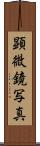顕微鏡写真 Scroll