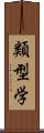 類型学 Scroll