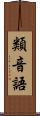 類音語 Scroll