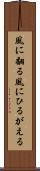 風に翻る Scroll
