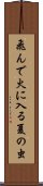 Tondehiniirunatsunomushi Scroll