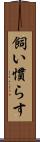 飼い慣らす Scroll