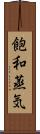 飽和蒸気 Scroll