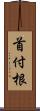 首付根 Scroll