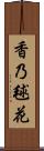 香乃毬花 Scroll