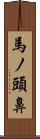 馬ノ頭鼻 Scroll