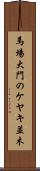 馬場大門のケヤキ並木 Scroll