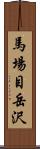 馬場目岳沢 Scroll