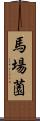 馬場薗 Scroll
