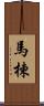 馬楝 Scroll