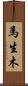 馬生木 Scroll