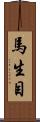 馬生目 Scroll