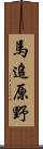 馬追原野 Scroll