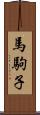 馬駒子 Scroll