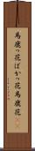 馬鹿っ花 Scroll