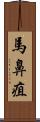 馬鼻疽 Scroll
