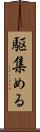 駆集める Scroll