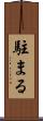 駐まる Scroll
