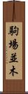 駒場並木 Scroll