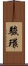 駿環 Scroll