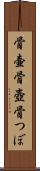 骨壷 Scroll