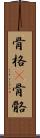 骨格(P) Scroll