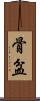 骨盆 Scroll