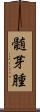 髄芽腫 Scroll