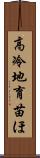 高冷地育苗ほ Scroll