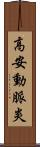 高安動脈炎 Scroll