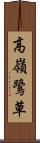 高嶺鷺草 Scroll