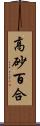 高砂百合 Scroll