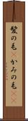 髪の毛(P) Scroll