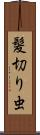 髪切り虫 Scroll