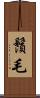 鬚毛 Scroll