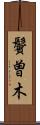 鬢曽木 Scroll