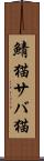 鯖猫 Scroll