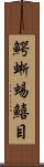 鰐蜥蜴鱚目 Scroll