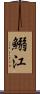 鰯江 Scroll